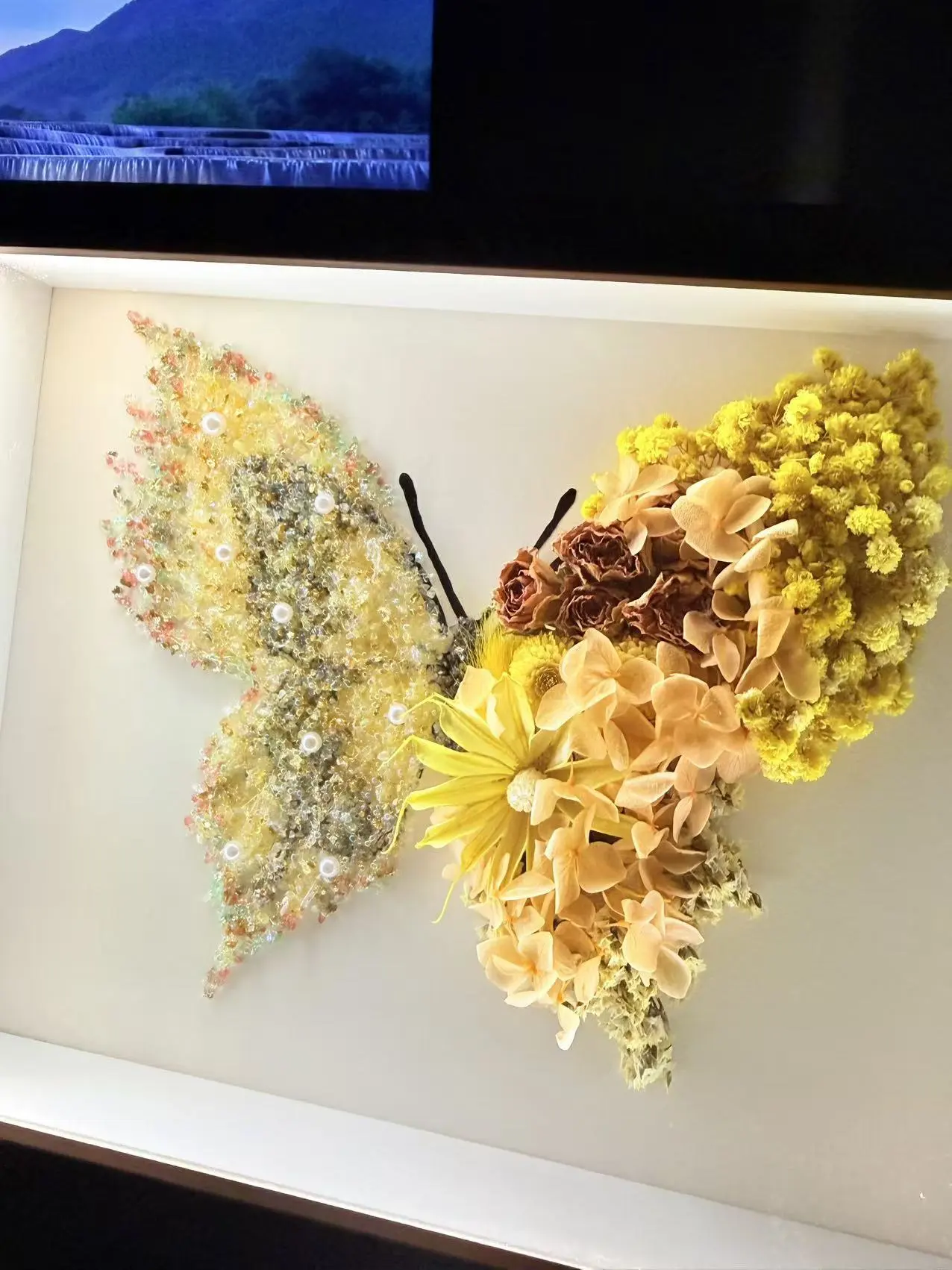 SeeVive Crystal Preserved Flower Shadow Box - Handmade Eternal Floral Art with Healing Energy